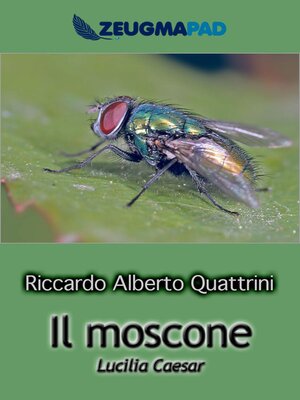 cover image of Il moscone (Lucilia Caesar)